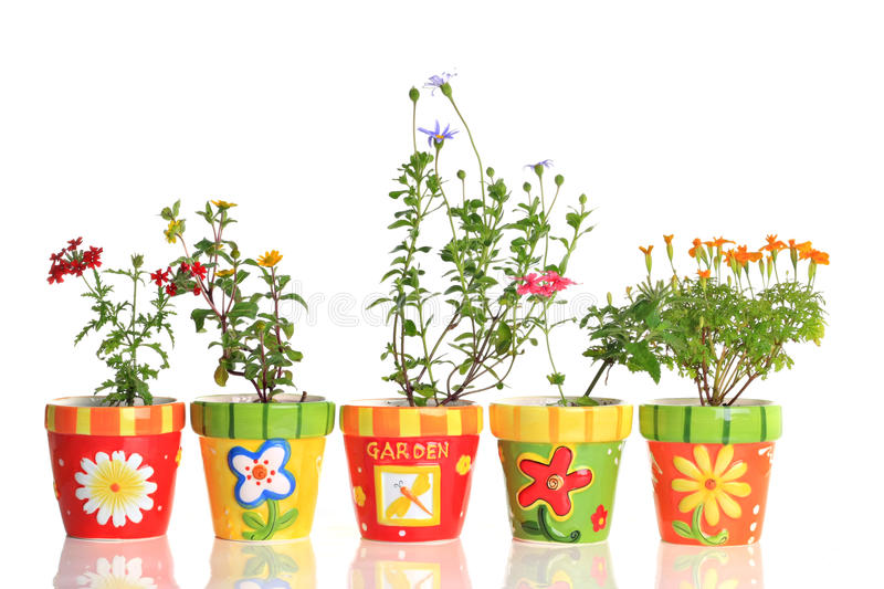 گلدان برای گل