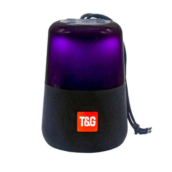 قابل حمل تی اند جی مدل TG-168
