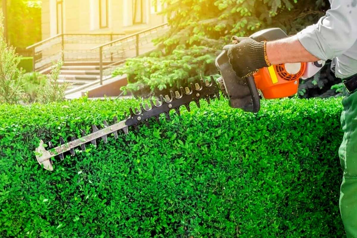 بهترین شمشاد زن موتوری